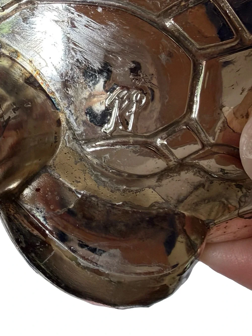 Vintage KI Silver Plate Turtle with Glass Flower Frog Insert